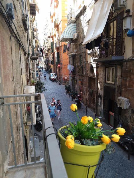 La Conchiglia Napoli Apartamento Exterior foto