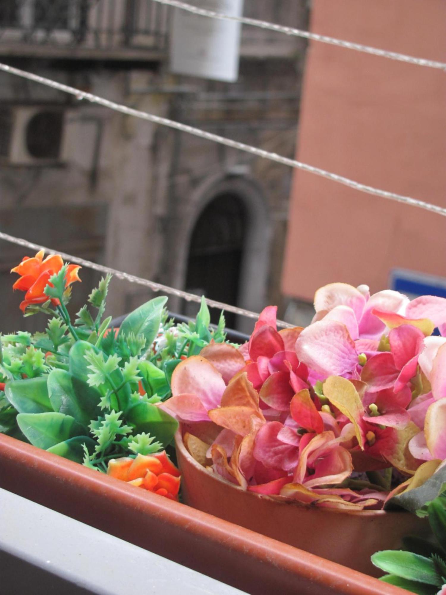 La Conchiglia Napoli Apartamento Exterior foto